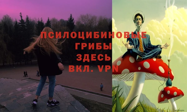 тгк Лабытнанги
