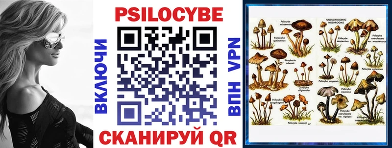 Купить закладки  Назарово  Псилоцибиновые грибы Psilocybe 